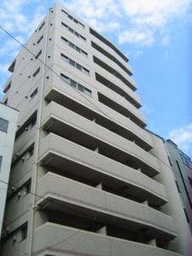 Ｄａｉｓｙ　Ｃｏｕｒｔ