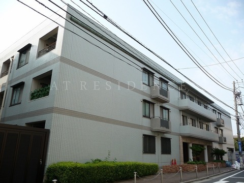 カルパティア市ヶ谷