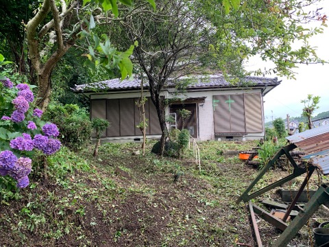 売地
