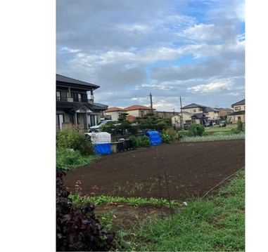 売地