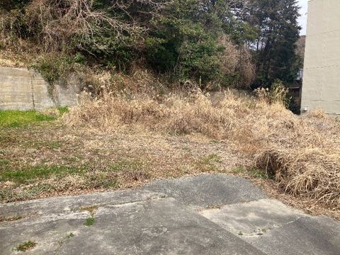 売地