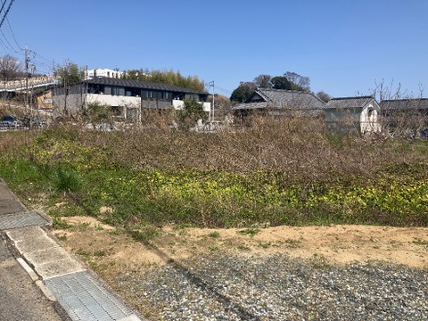 売地