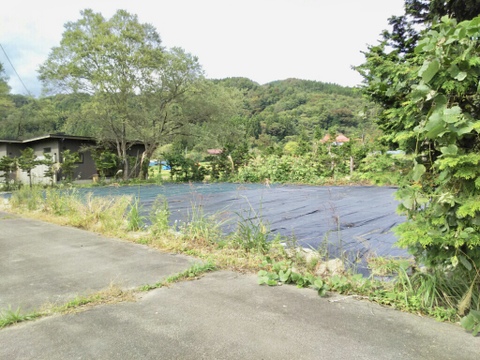 売地
