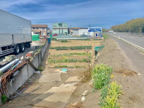 売地