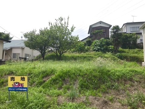 売地