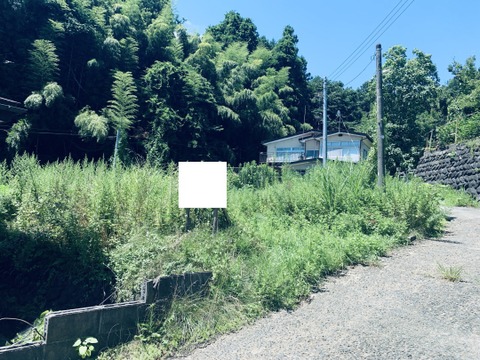 売地