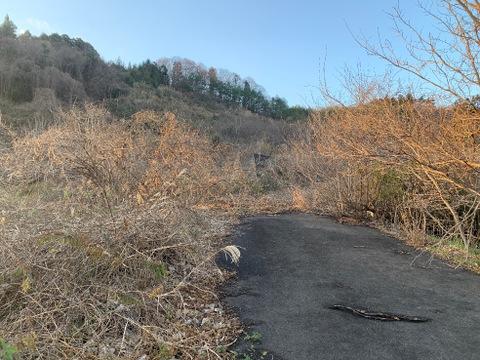 売地
