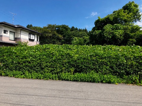 売地