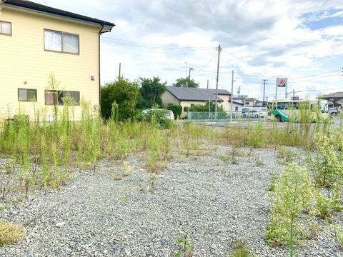 売地