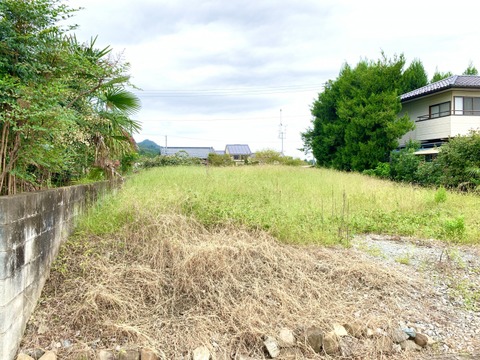 売地