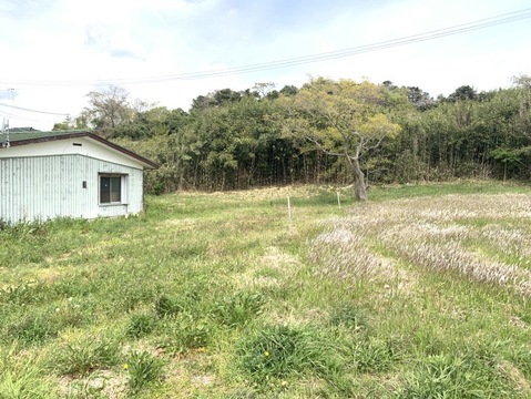 売地