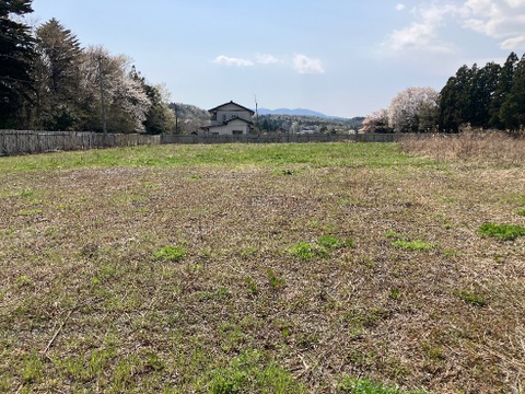 売地