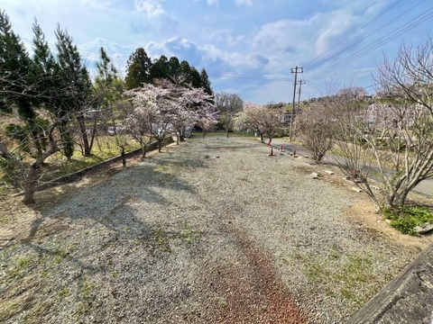 売地