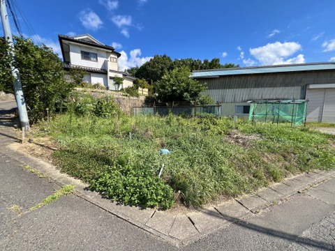 売地