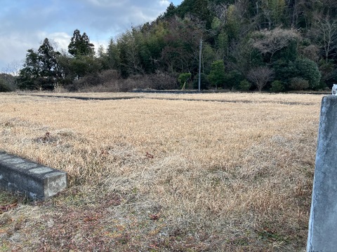 売地