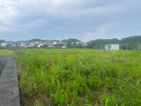 売地
