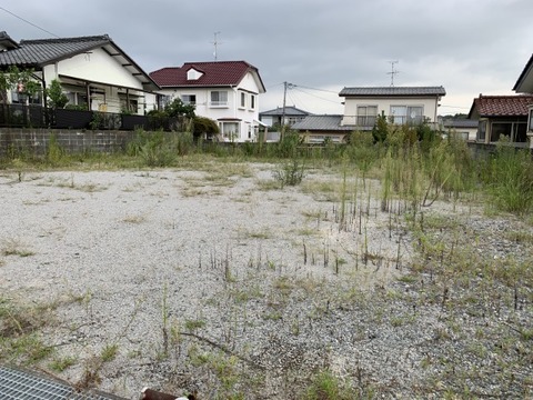 売地