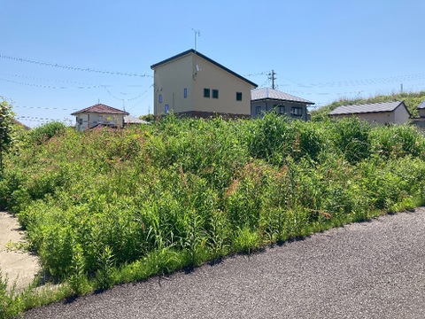 売地