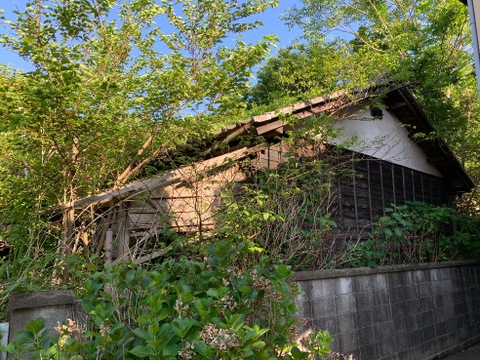 売地