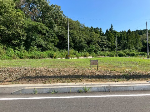 売地