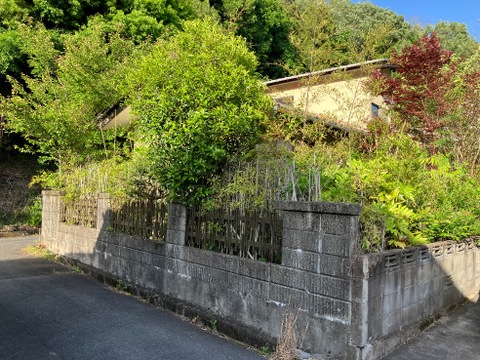 売地