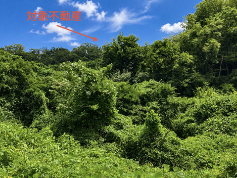 売地