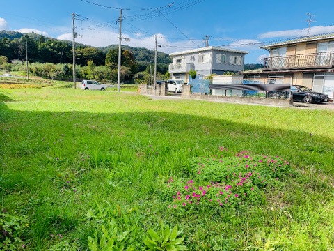 売地