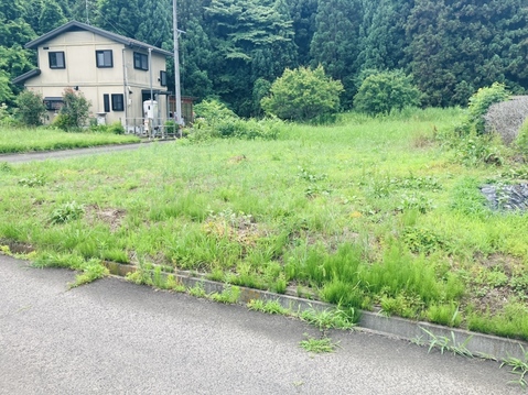 売地