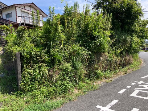 売地