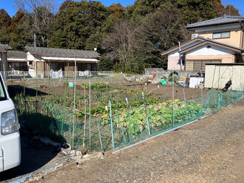 売地