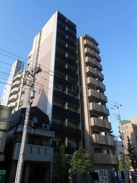 セルビシエ白金