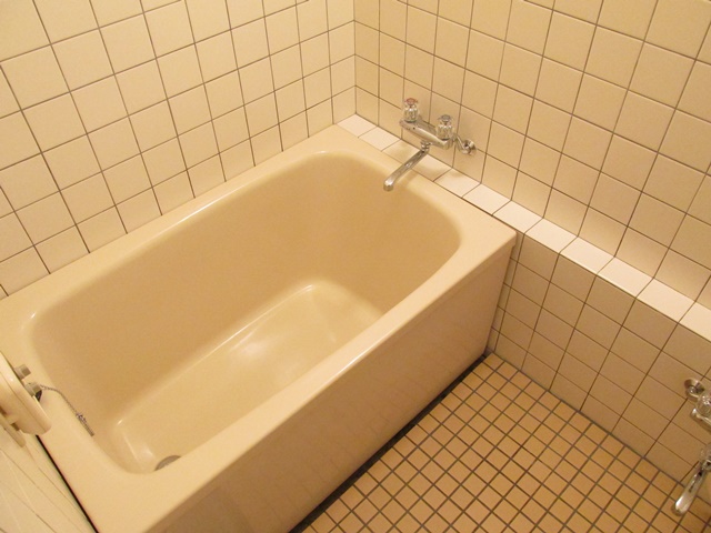 コモレビ部屋 105の内観