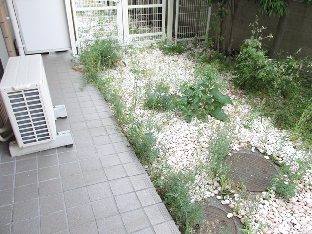 グリーンを添えて 101の内観