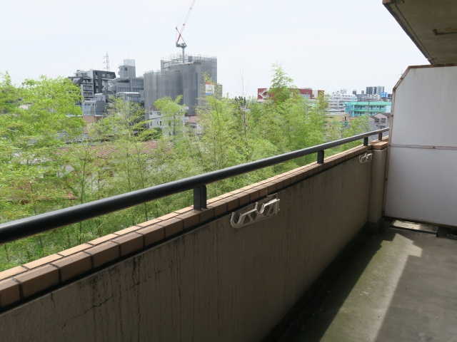 竹林と暮らす 404の内観