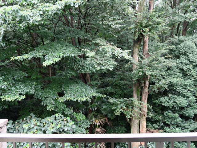 代々木公園と一体化 405の内観