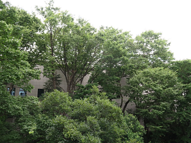 麻布十番住んじゃいます 607の内観