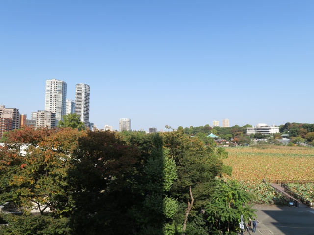 四季を眺める部屋 501の内観