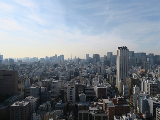 タワマン生活 3110の内観
