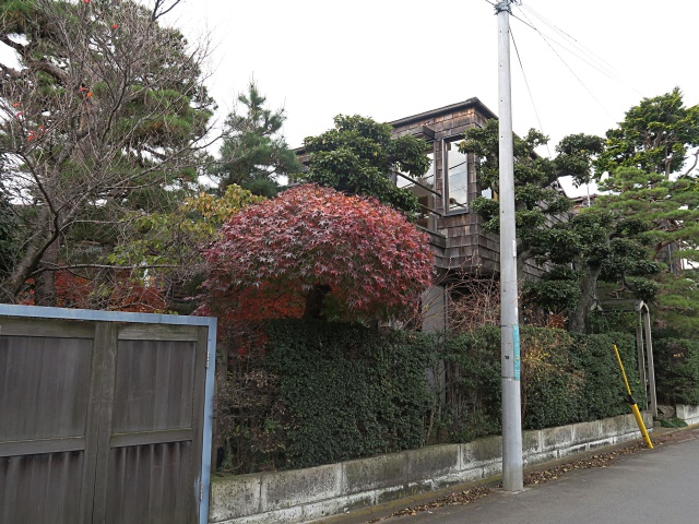 松の木を借景 2の外観