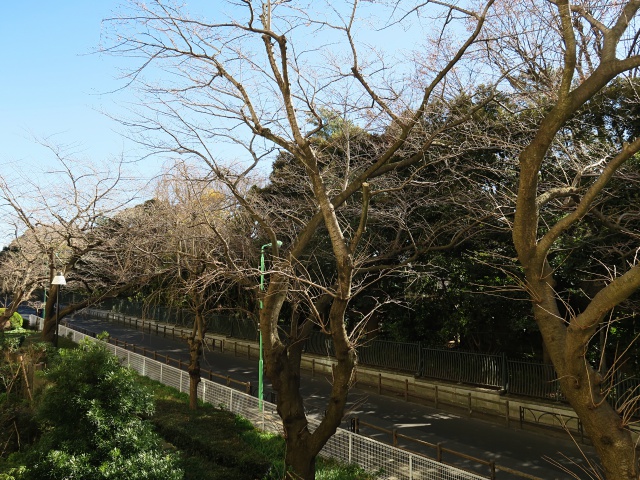 馬事公苑のドン 205の内観