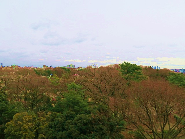 馬事公苑のお隣で 806の内観