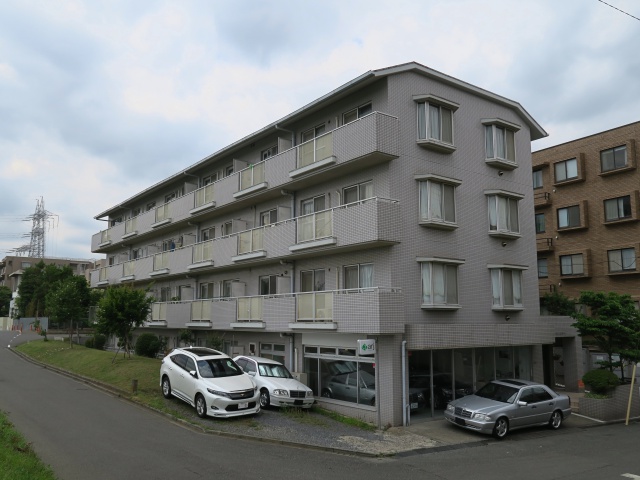 多摩川ラプソディ 206の外観