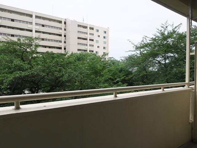 穴場とは 310の内観