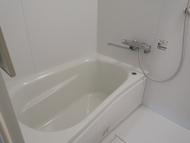 緑が見える広い部屋 603の内観