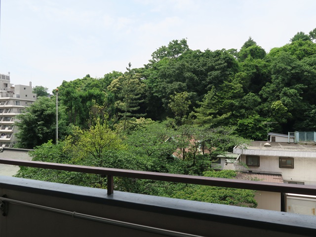 緑が見える広い部屋 603の内観