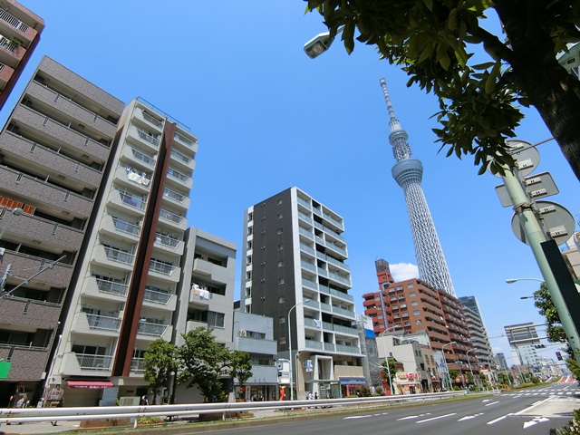 スカイツリーのお膝元 203の内観