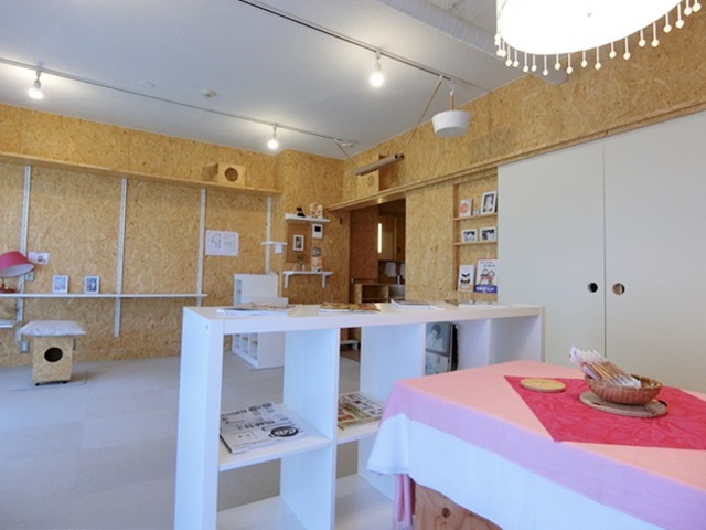 猫好き二子玉川の楽園 305の内観