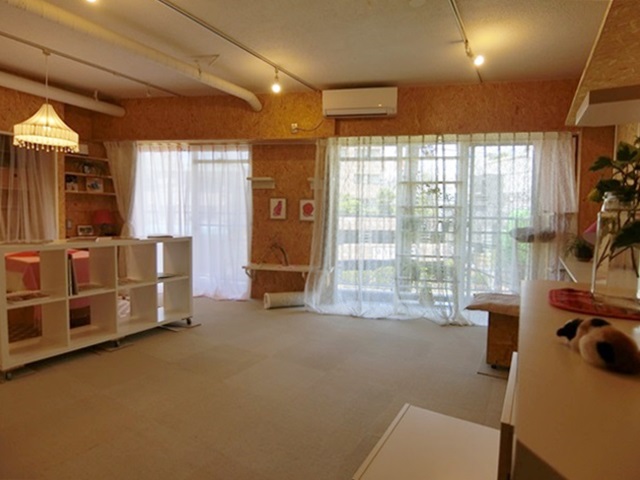 猫好き二子玉川の楽園 305の内観