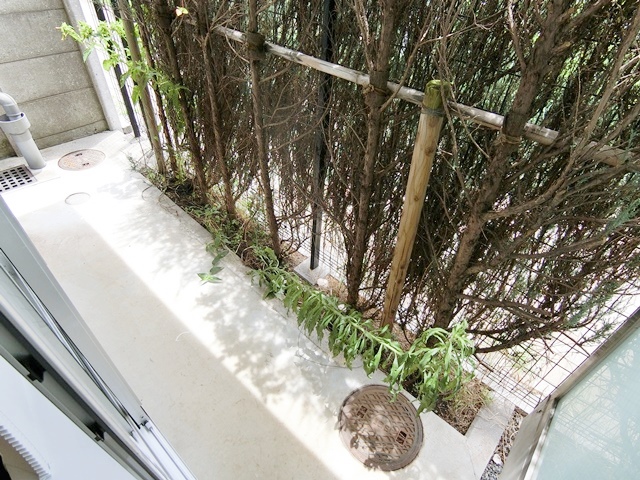 太陽たっぷりバスタイム 106の内観