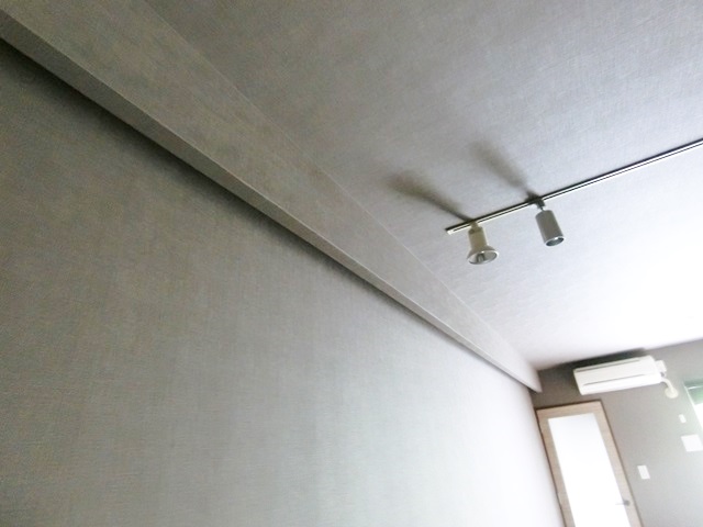 ペット可！お得な地下室 208の内観